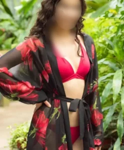 Anupama - Indian escort in Delhi